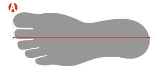 Women’s Shoes Size Chart