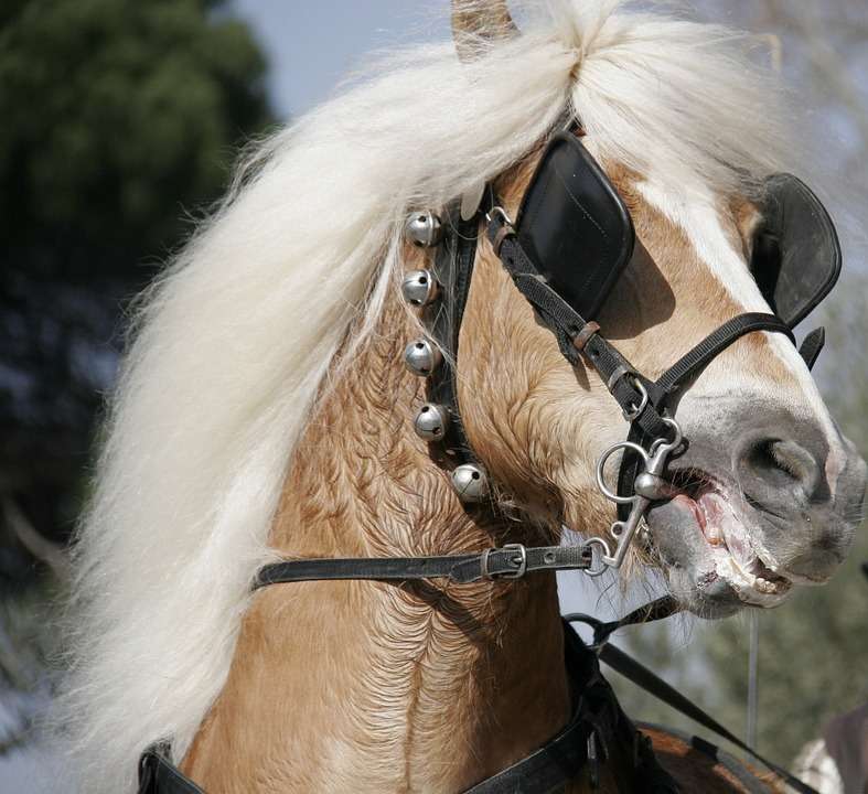 10 Highly Effective Ways to Relieve Upper Stomach Pain